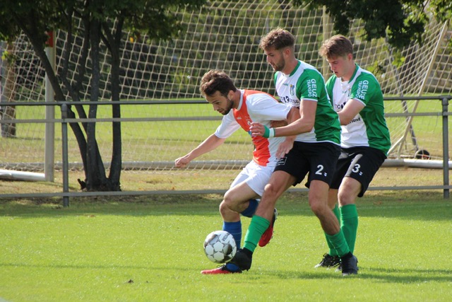 Compact spelend DVO houdt WHS verdienstelijk op 1 -1